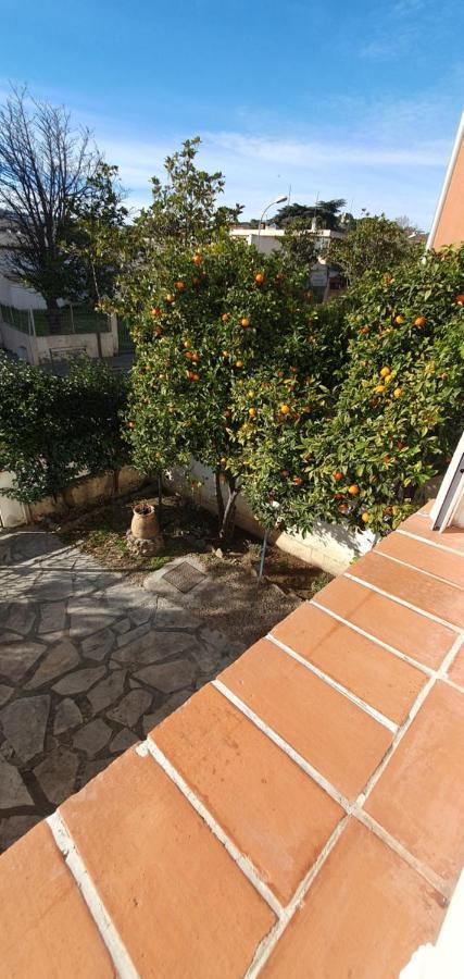 Entier Au Dessus De Villa, Climatisation Reversible Poele A Bois Tres Chaleureux , Wi Fi Parking Privee Gratuit Situation 500 M, Et Centre